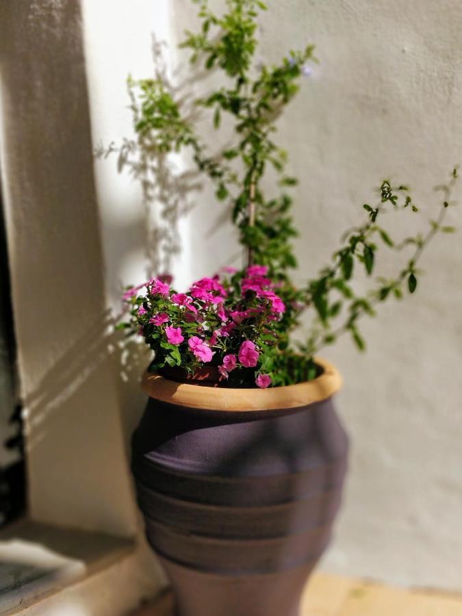 Old Port - Bellavista Studio خانيا المظهر الخارجي الصورة